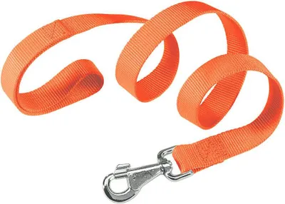 Zdjęcie produktu dla Ferplast Club G, Pies, Smycz standardowa, Pomarańczowy, Taśma, Monochromatyczny, Nylon