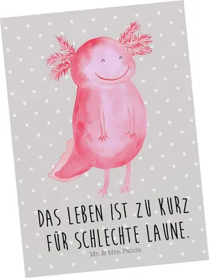 Produktbild von Mr. & Mrs. Panda Postkarte Axolotl Glücklich - Grau Pastell - Geschenk, Fotokarte, Lebensfroh, Motivation, Schwanzlurch, Grußkarte, gut Gelaunt, Motivationsspruch, Lurch