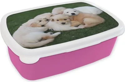 Produktbild von KitchenYeah® Lunchbox Brotzeit Brotdose 17x11 cm Tiere - Welpen - Hunde Kinder Brotzeitdose - Lunchpaket - Brotkasten  - Sandwich Box