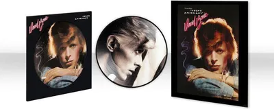 Produktbild von David Bowie (1947-2016): David Bowie (1947-2016): Young Americans (50th Anniversary) (Limited Edition) (Picture Disc) - Warner Music  - (LP / Y)