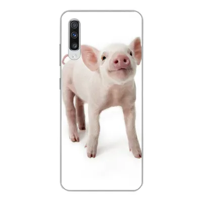 Produktbild von MuchoWow® Handyhülle Schutzhülle Hülle für Samsung Galaxy A70 Schwein - Tiere - Weiß Silikon Softcase Handy Hülle - Schutzhaube
