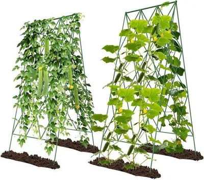 Produktbild von Gartentomatenständer aus Metall - Set aus 2 Stücken