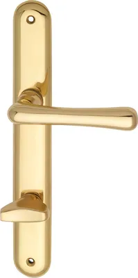 Produktbild von Türbeschlag Elegant | Türgriff für Innentür auf Schild WC 90 | Messing poliert
