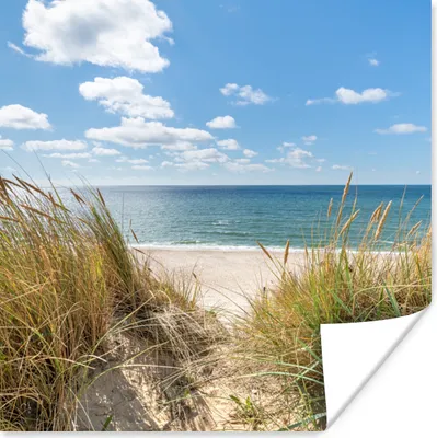 Produktbild von MuchoWow® Poster Düne - Gras - Meer - Strand 75x75 cm - Wand Dekoration