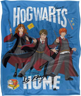 Produktbild von Harry Potter - Decke "Hogwarts Is My Home" TV19015 (Einheitsgröße) (Bunt)