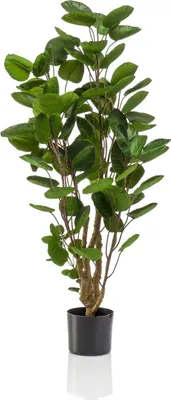 Produktbild von artplants.de Kunst Fiederaralie FAUZIA, Kunststamm, 105cm - Grünpflanze künstlich