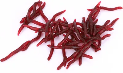 Produktbild von Angelköder, 4cm Gummi-Würmer, Kunstköder Set 50 Stück, für Süß-/Salzwasser