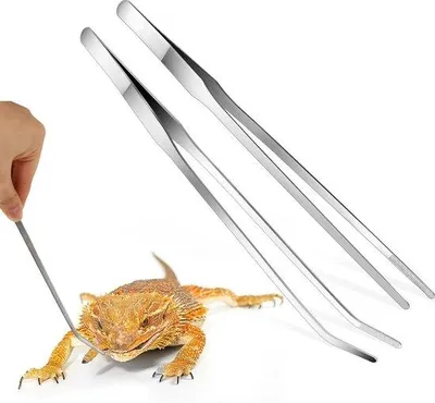 Immagine prodotto di Pinzette per acquario in acciaio inossidabile da 15 cm - Pinzette per il cibo dei rettili - Accessori per terrari
