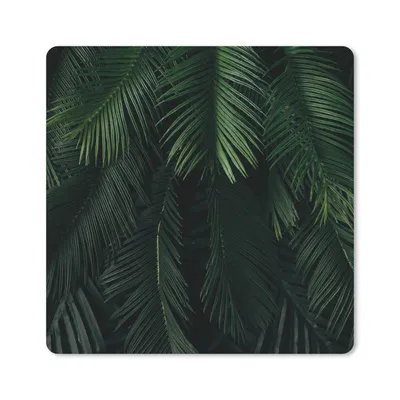 Produktbild von MuchoWow® Mauspad Mousepad Blätter - Tropisch - Muster - Jungen - Mädchen - Kinder - Kind 30x30 cm - Mousepads - Maus Mat - Pad - Mausunterlage - Gaming
