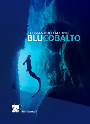 Produktbild von Costantini, L: Blu cobalto