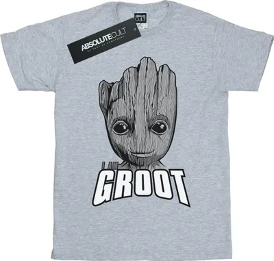 Produktbild von Marvel - "Guardians Of The Galaxy" T-Shirt für Herren BI28456 (3XL) (Grau)