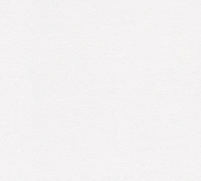 Produktbild von A.S. Création Vliestapete Meistervlies Pro Protect 2, weiss, überstreichbar, 10,05 m x 0,53 m, 245113, 2451-13