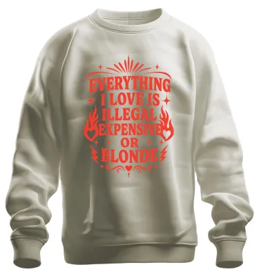 Produktbild von Everything I Love Is Illegal Expensive Statement Sarkasmus Sweatshirt Pullover, Natur, XL