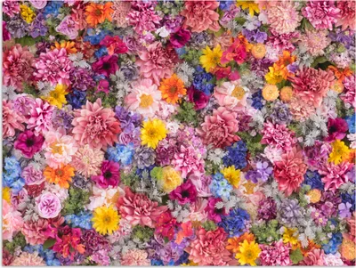 Produktbild von MuchoWow® Poster Blumen - Farben - Collage 120x90 cm - Wandbild