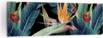 Produktbild von Bild auf Leinwand - Leinwandbild - Einteilig - Pflanze Tropisch Blume - 160x50cm - Wand Bild - Wanddeko - Wandbilder - Leinwanddruck - Bilder - Wanddekoration - Leinwand bilder - AB160x50-5093