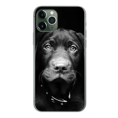 Produktbild von MuchoWow® Handyhülle Schutzhülle Hülle für iPhone 11 Pro Hund - Leicht - Schwarz Silikon Softcase Handy Hülle - Handy