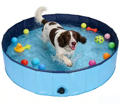 Productafbeelding van Opvouwbaar hondenzwembad, 100 x 30 cm, hondenbadje, ballenbad voor kleine en grote honden