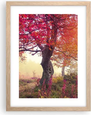 Produktbild von Gerahmtes Poster - Rahmen in heller Eiche - Baum Natur Wiese - 30x40 cm - Wand Bild - Wanddeko - Wandbilder - Kunstposter - Wandposter - Bilderrahmen - Bilder - Kunstdruck - Wandbild - P2NPA30x40-3658
