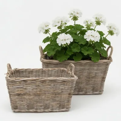 Produktbild von Robuster Rattan Kaminholzkorb | Holzkorb für Kaminholz | Rattan, Natur,  mit Folie, Stabil | N e u