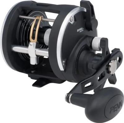 Produktbild von Penn Multirolle RIV30LWLH Rival 30 LW LH Linkshand Salzwasserrolle Norwegenrolle