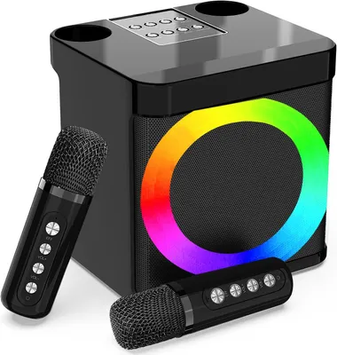 Karaokemaschine mit 2 Mikrofonen, Bluetooth, LED, tragbar