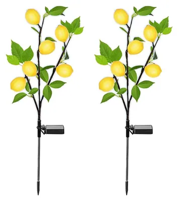 Solar-Zitronenbaumleuchten, 2er-Set, LED, IP65, für Garten & Hof