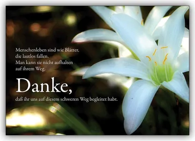 Produktbild von 4x Klassische schöne Trauer Dankeskarte: Menschenleben sind wie Blätter…