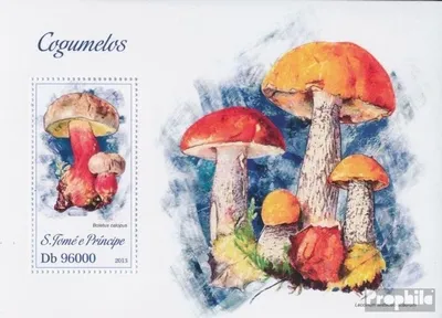 Produktbild von Briefmarken Sao Tome e Principe 2013 Mi Block 894 (kompl. Ausgabe) postfrisch Pilze