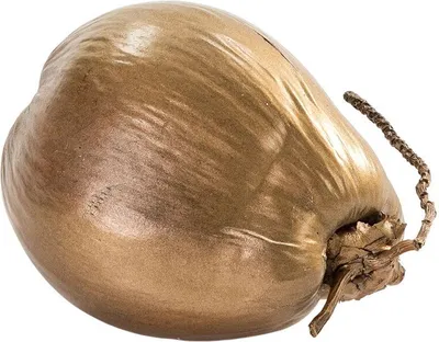 Image de Coco Thai Natura Gold 20 x 15 x 15 cm