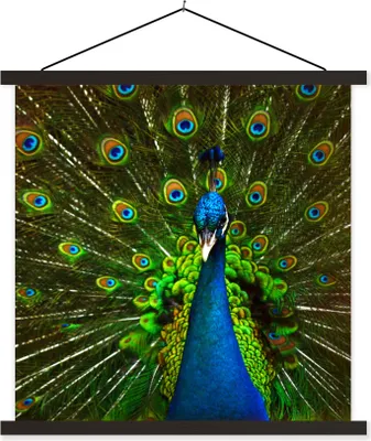 Produktbild von MuchoWow® Textilposter Pfau - Federn - Muster - Blau 90x90 cm mit schwarzem Rahmen - Magnetisches