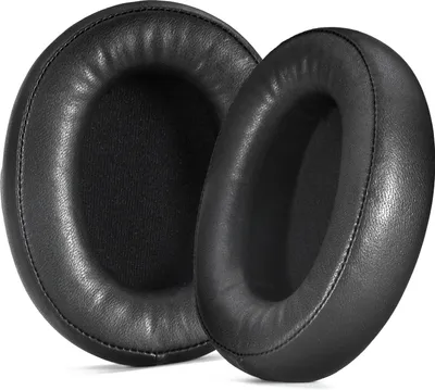 Two black ear pads for headphones are shown on a white background.