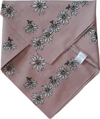 Produktbild von German Wear, Halstuch Trachtentuch BAUMWOLLE mit Edelweissmuster nikituch 50x50cm Beige