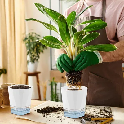 Obrázok produktu pre Samozavlažovacie kvetináče – 6 ks – biele – 12,5 cm – plast