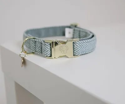 Produktbild von Kentucky Dogwear Hundehalsband Wolle