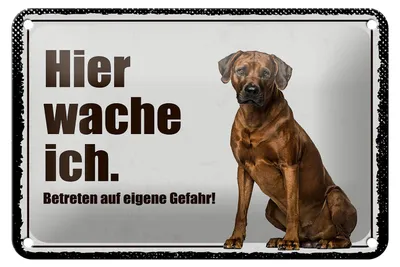 Produktbild von Blechschild Spruch 18x12cm Rodhesian Ridgeback hier wache ich Schild