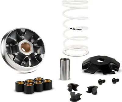 Image de Variateur Malossi MULTIVAR 2000, dimensions 19 x 15,5 mm, compatible avec Honda Vision