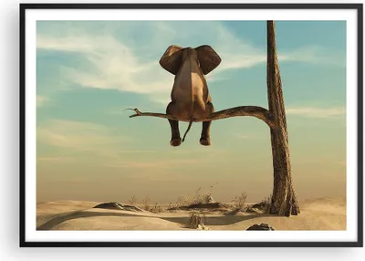 Produktbild von Gerahmtes Poster - Schwarzer Rahmen - Elefant sitzend Ast - 100x70 cm - Wand Bild - Wanddeko - Wandbilder - Kunstposter - Wandposter - Bilderrahmen - Bilder - Kunstdruck - P2BAA100x70-4557