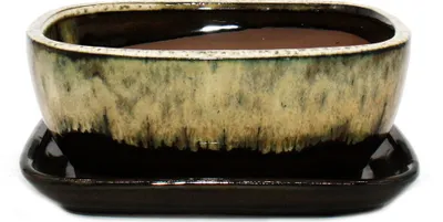 Immagine prodotto di ciotola bonsai con piattino misura 3 marrone-beige rettangolare modello gb5 l 21,5 cm l 17 cm h 8 cm