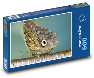 Produktbild von martinpuzzle - Puzzle 500 Teile - Riesenschmetterling