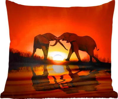 Produktbild von MuchoWow® Zierkissen Sofakissen Wohnzimmer Dekokissen 45x45 cm Elefant - Sonne - Afrika - Schlafpolster - Polster für das Sofa