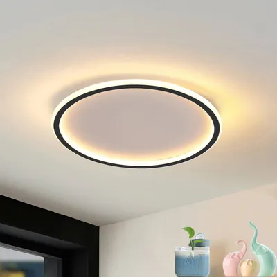 A modern, circular LED ceiling light is mounted on a white ceiling. The light is illuminated, casting a warm glow. Below the light, a dark window frame is visible on the left, and a shelf with decorative elephant figurines and a plant is on the right.