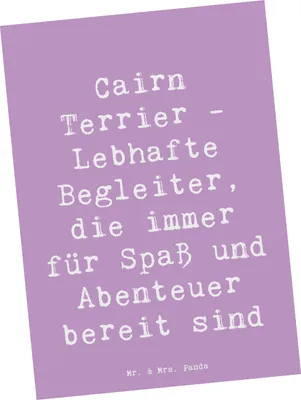 Produktbild von Mr. & Mrs. Panda Grußkarte Spruch Cairn Terrier Begleiter - Lavendeltraum - Geschenk, Postkarten, bildkarte, Abenteuer, Hundeliebhaber, intelligent, Energie, Postkarte