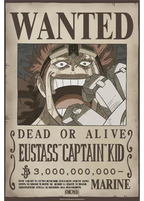 Poster One Piece Wanted Eustass Kid 52x38 cm