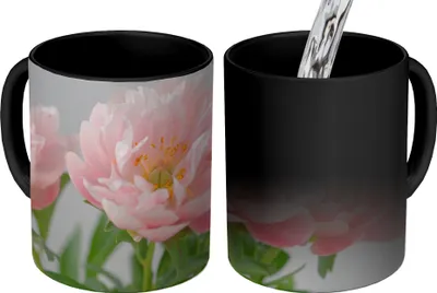 Produktbild von MuchoWow® Zauber Tasse Zaubertasse Magic Blumenstrauß aus rosa Pfingstrosen 350 ml Farbwechsel Becher Geschenk Geschenkidee - Magic-Tasse - Fototasse - Keramiktassen - Bilder - Tasse Kaffee - Getränkb