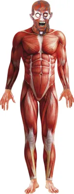 Produktbild von Smiffys - Kostüm für Herren SM121 (M) (Rot)