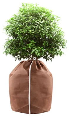 Image de Protection hivernale pour plantes en pot, housse thermique avec fermeture éclair et cordon de serrage (40 x 40 cm)