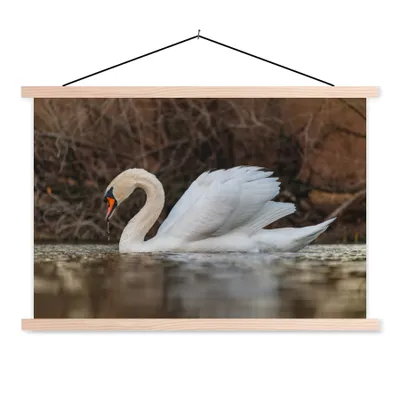 Produktbild von MuchoWow® Textilposter Schwan - Wasser - Tiere - Vogel 60x40 cm mit holzfarbenen Rahmen - Bilder