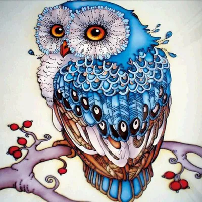 Produktbild von Malen nach Zahlen 5d Diamond Painting Funkelnde Eule Malen nach Zahlen 15x20cm