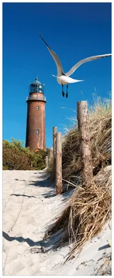 Produktbild von Wallario Premium Glasbild, freischwebende Optik, kräftige Farben, Größe 125 x 50 cm Motiv Möwe am Strand mit Leuchtturm
