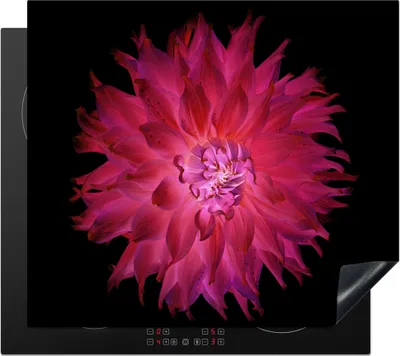 Produktbild von KitchenYeah© Herdabdeckplatte Dahlie - Blume - Rosa , 57x51cm, Küche Deko, Glaskeramikkochfeld Herdabdeckung, Abdeckplatte fùr Kochfeld